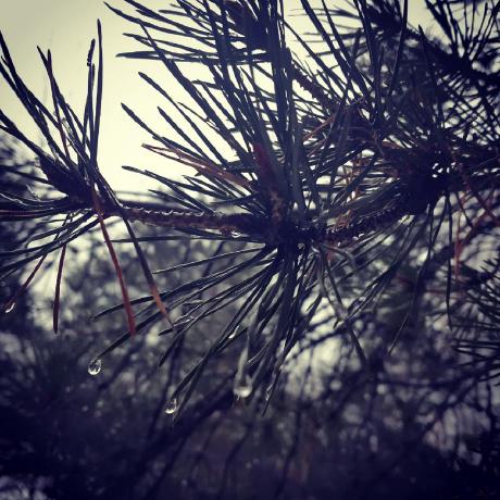 maestro-denery's avatar